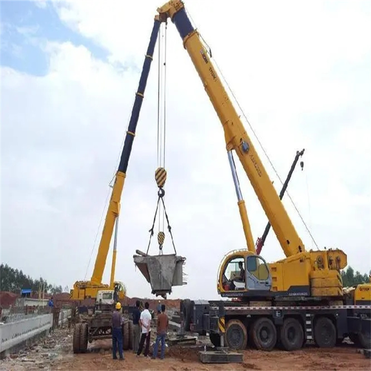 卢市镇小型吊机出租电话|厂房设备吊装方案|24小时服务覆盖